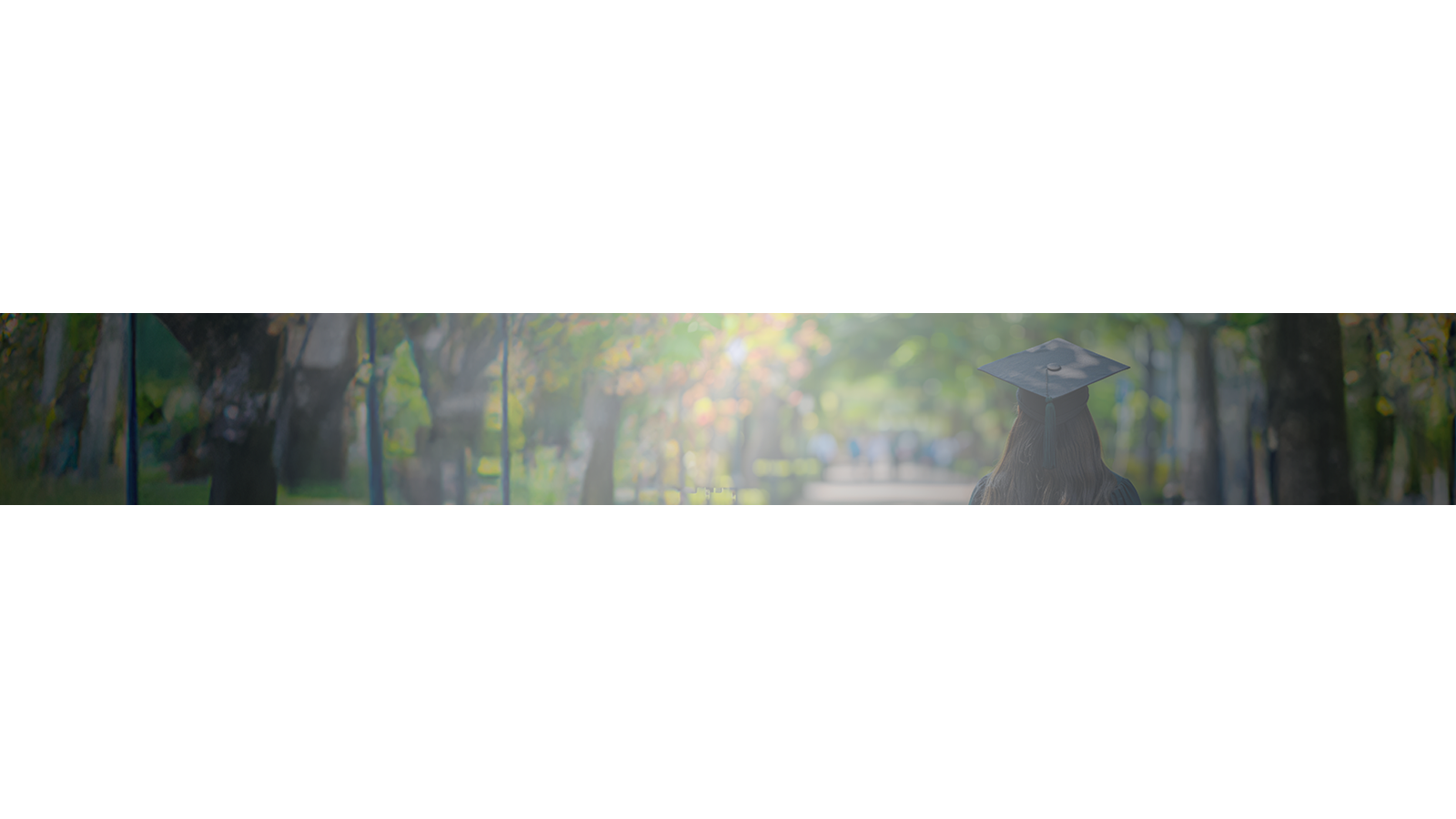 2025 graduation page skinny hero image, view of graduate from behind, looking forward, outdoor